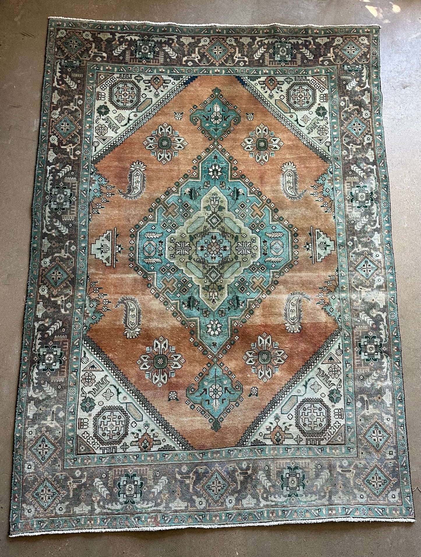 Large Orange + Green Beauty