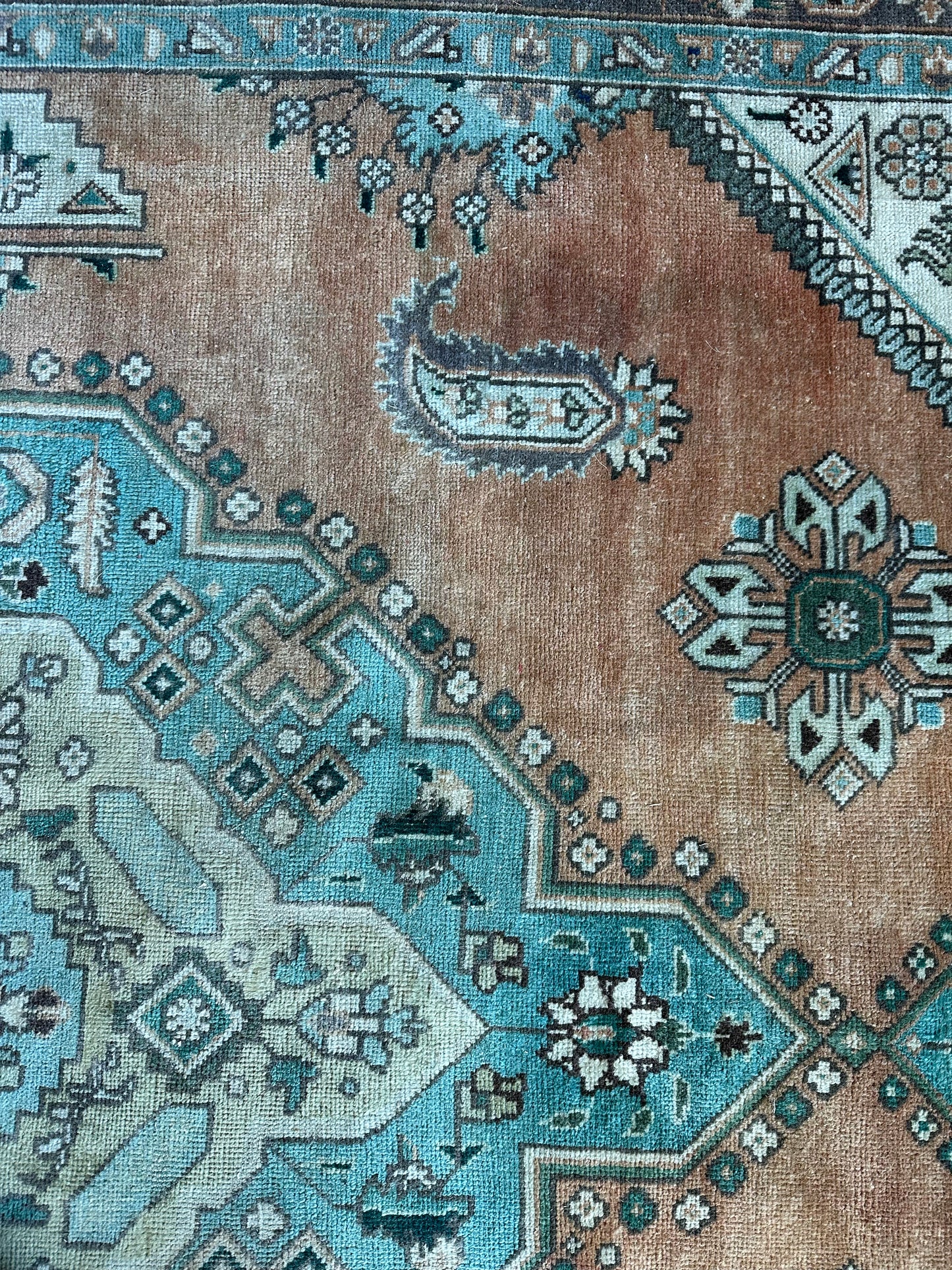 Large Orange + Green Beauty