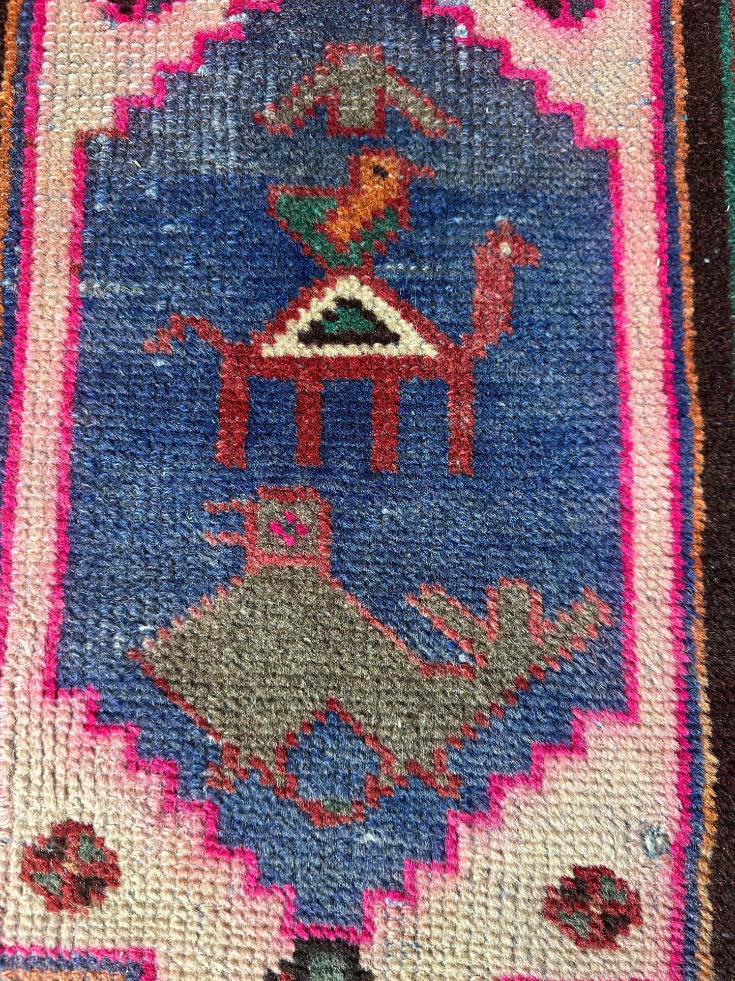 Eclectic Mini Animalia